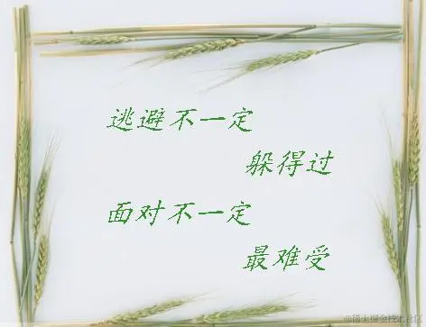 第十三颗佛珠：只有面对现实，你才能超越现实。