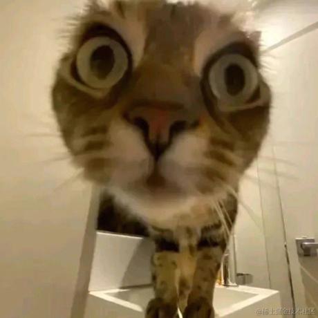 余老彪于2022-12-21 14:40发布的图片