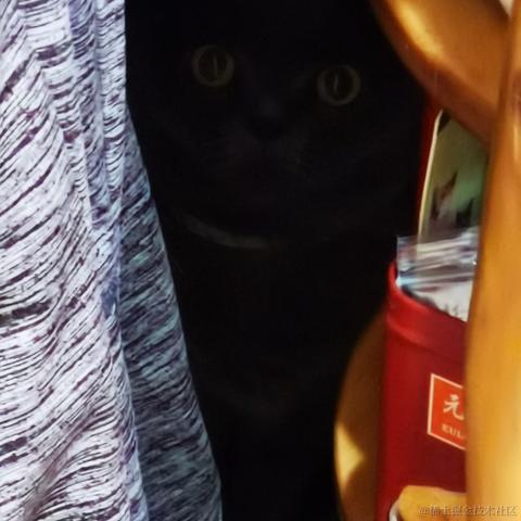 StupidCat_W于2022-09-09 09:26发布的图片