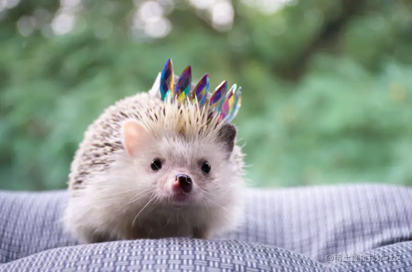 Liudmyla Denysiuk @ unsplash.com