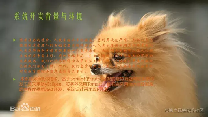 基于java的宠物网站设计与实现的论文PPT源码（包调试运行成功）