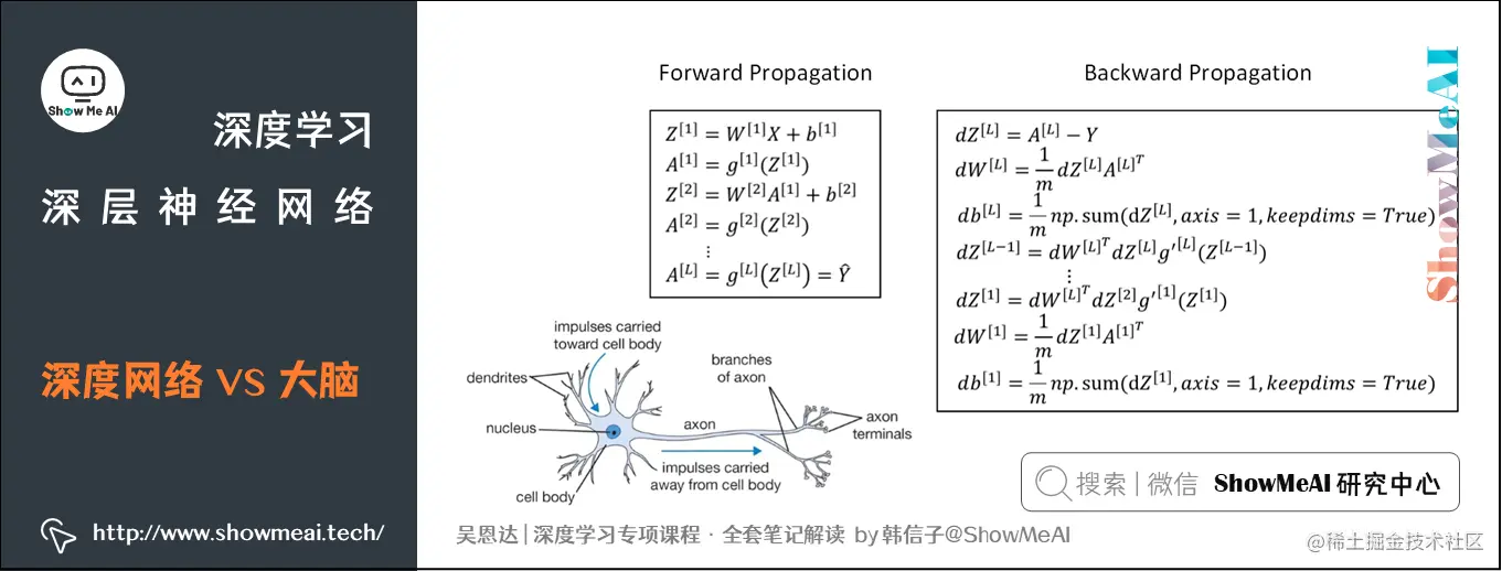 深度网络 VS 大脑