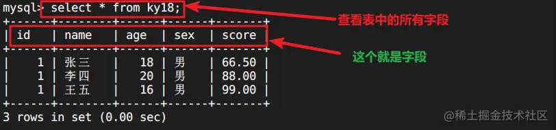 image-20220525004631408