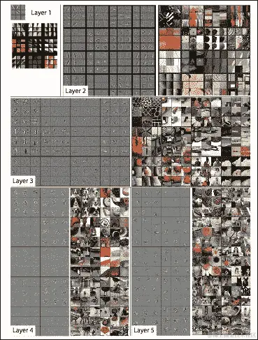 对象识别和分类