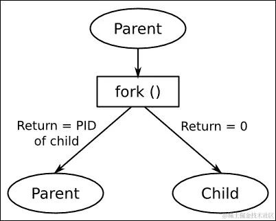 创建一个新进程