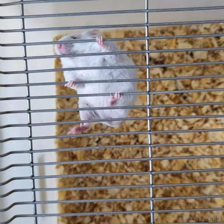 仪沉香于2022-11-20 14:37发布的图片