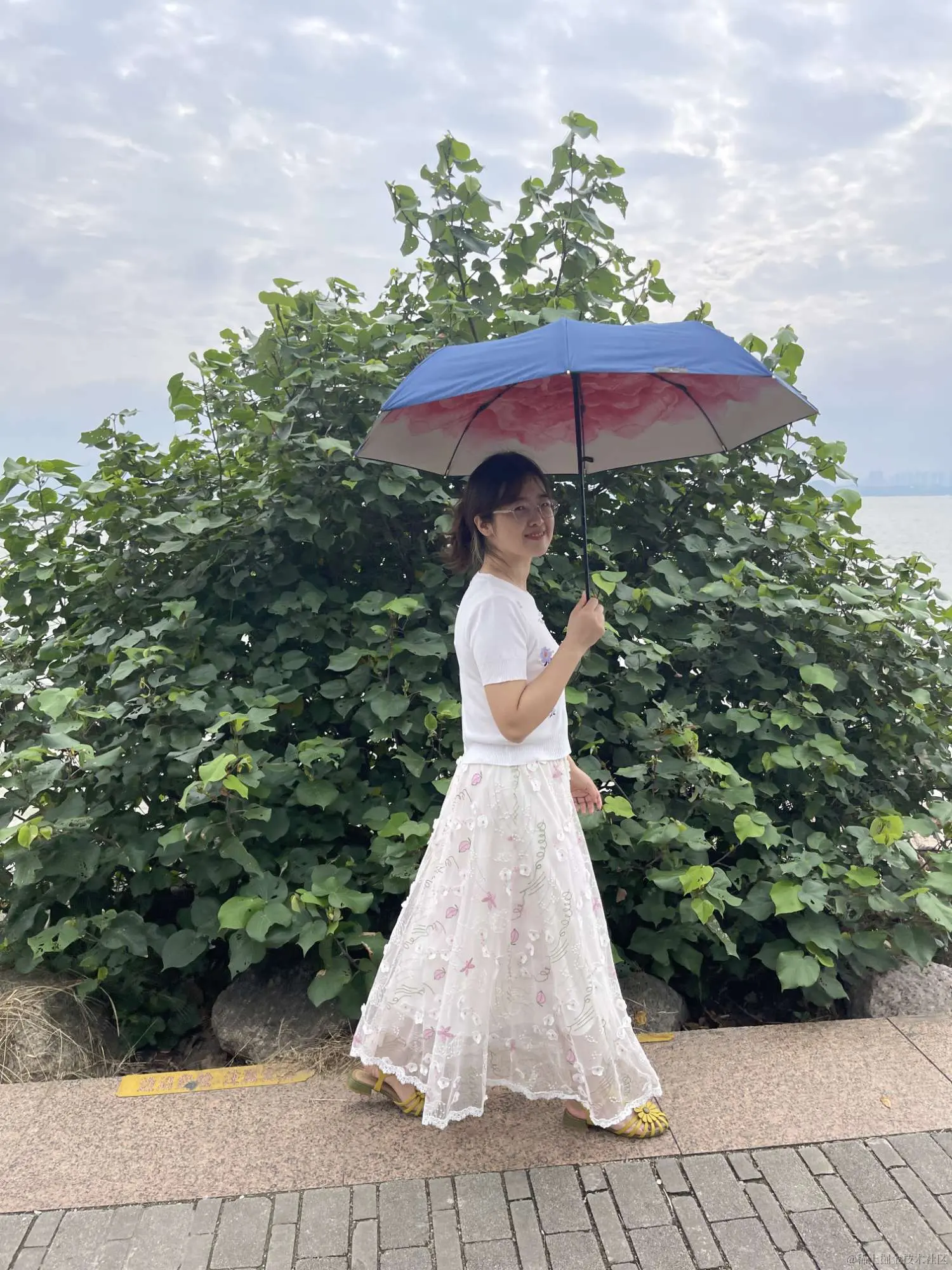 深圳湾公园