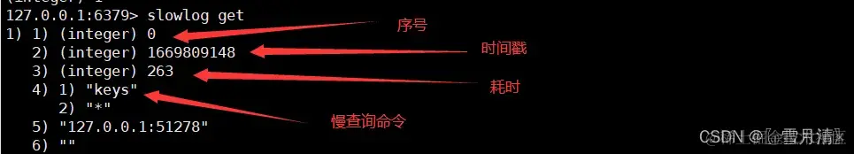 redis key设计技巧 redis key值设计_慢查询_13