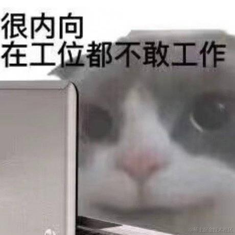 可是诗人说谎太多于2023-06-26 23:11发布的图片
