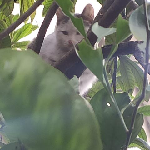 Coca_Cola于2023-01-23 19:53发布的图片