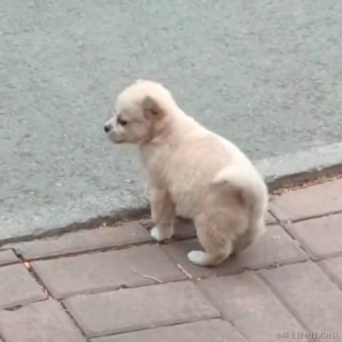 李岑岑于2022-05-04 11:07发布的图片