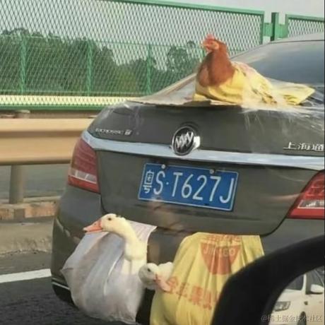 nor5于2024-02-17 22:31发布的图片