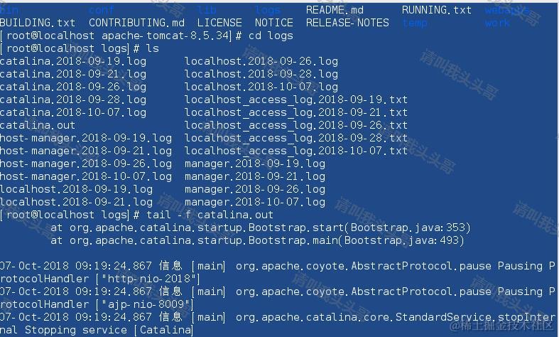 SpringBoot入门教程(二)CentOS部署SpringBoot项目从0到1