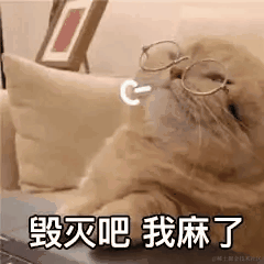 永远向上前进的于2022-11-17 11:06发布的图片