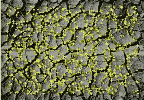 理解自然特征跟踪目标