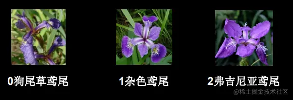 image-20220511231753075