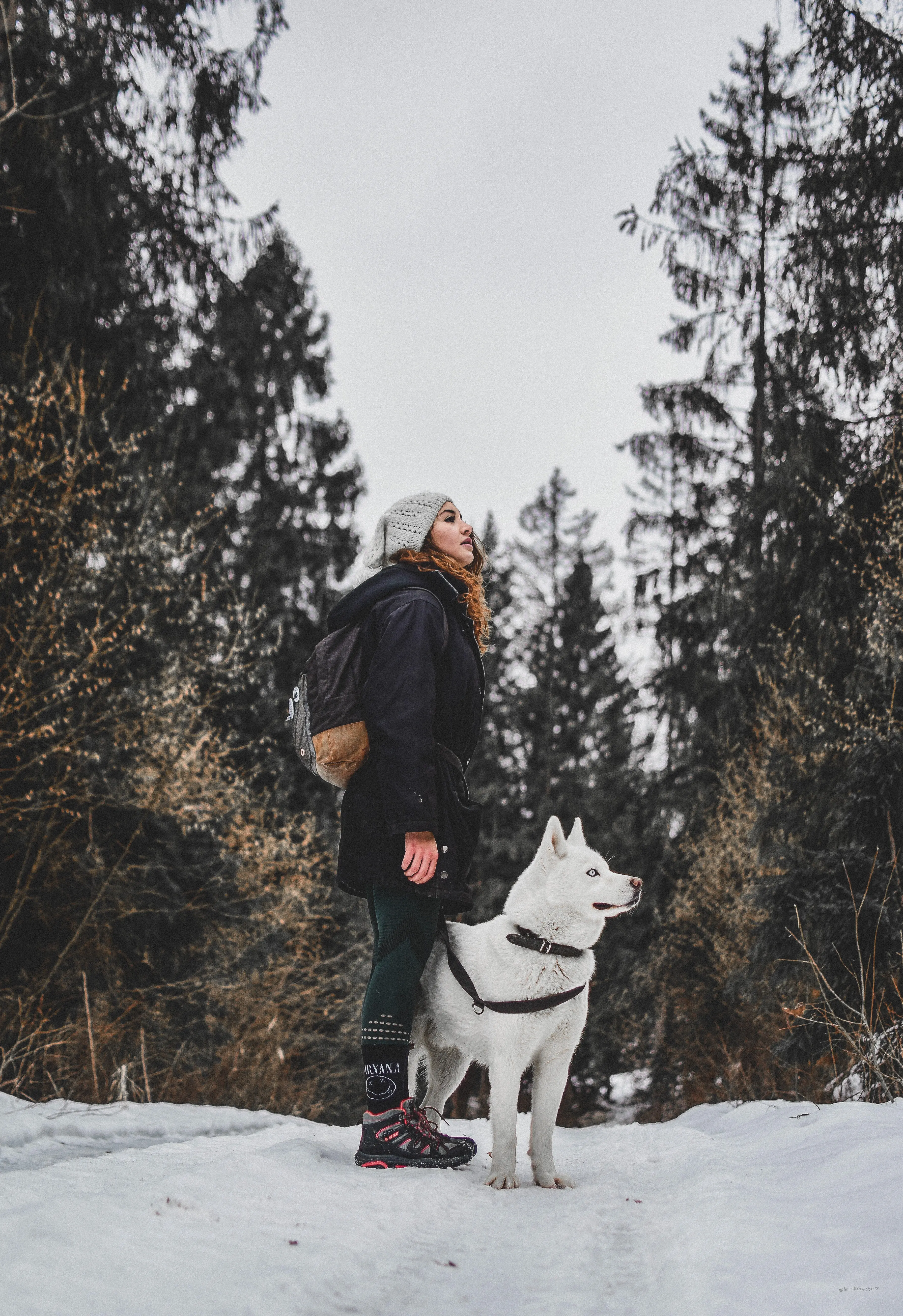 pexels-filip-klinovský-3693548