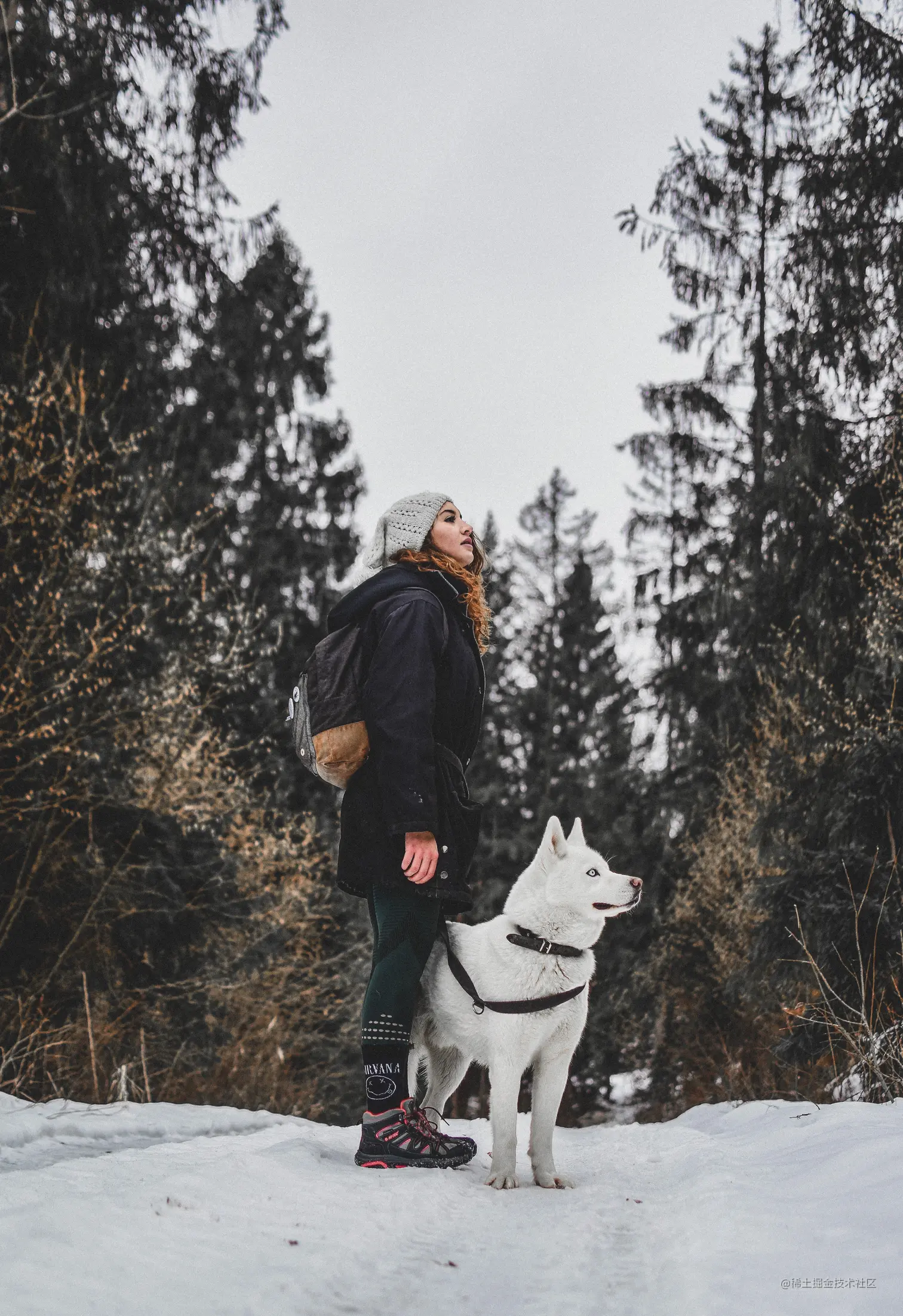 pexels-filip-klinovský-3693548