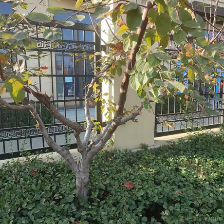 610单推人于2022-12-02 16:24发布的图片