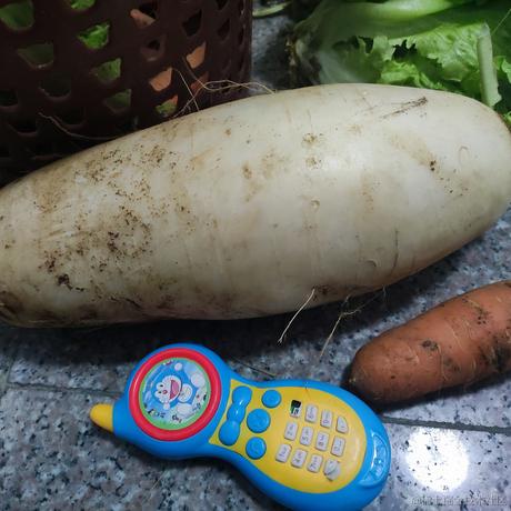 程序员萌芽于2023-01-25 09:06发布的图片