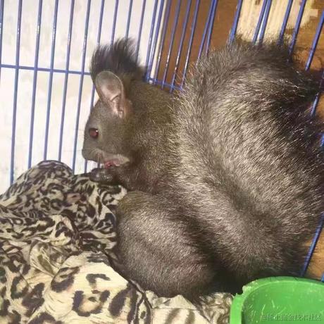 乃宝可爱捏于2022-11-16 07:42发布的图片