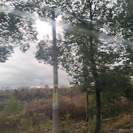 子衿提不起劲于2022-11-23 23:56发布的图片