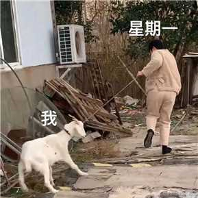 陈理性呀于2022-11-07 10:04发布的图片