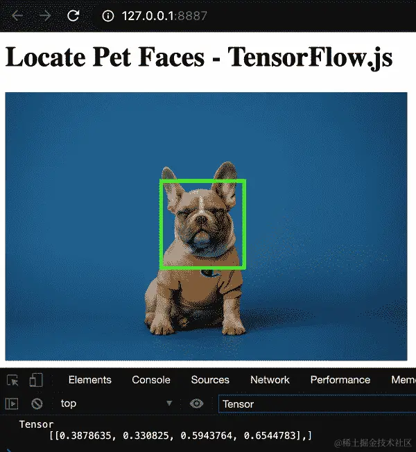 识别宠物脸部位置