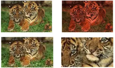 Python语言基础23