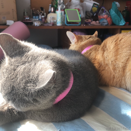 阿妮妹i于2022-02-23 17:31发布的图片