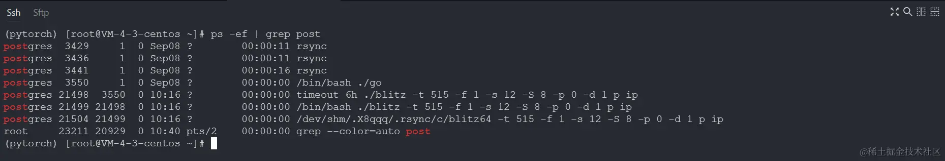 image-20230912104124720