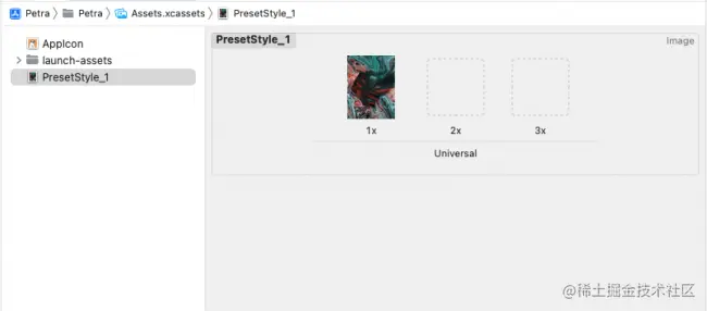具有预设样式图像的 Xcode 资源