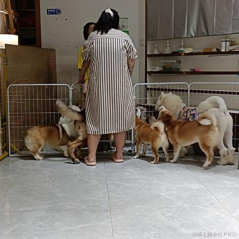 心想事成717于2023-07-06 18:56发布的图片