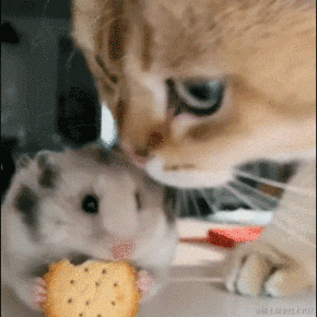 Daniel_01于2022-08-11 09:40发布的图片