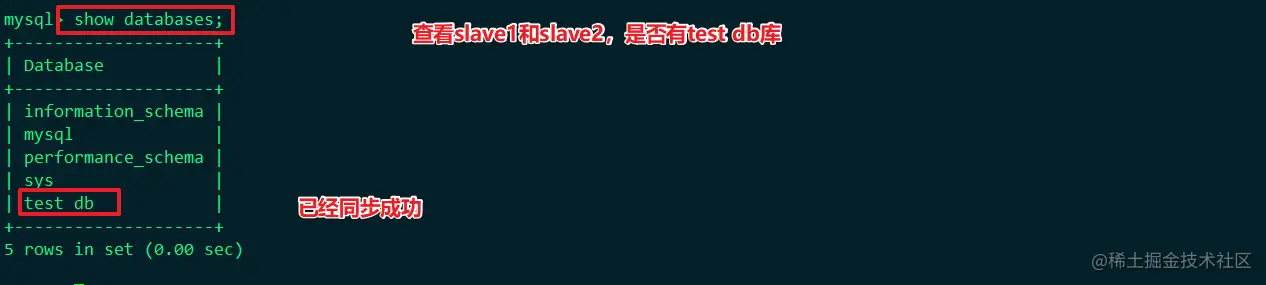 image-20220604143240581