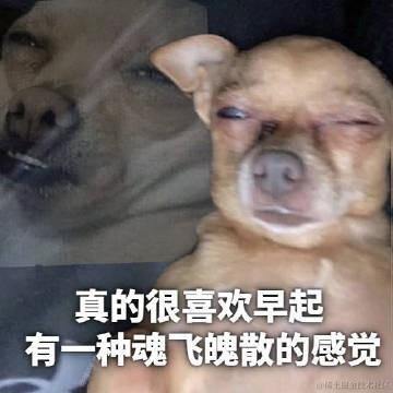 乃王木木你带我走吧于2022-11-22 09:39发布的图片