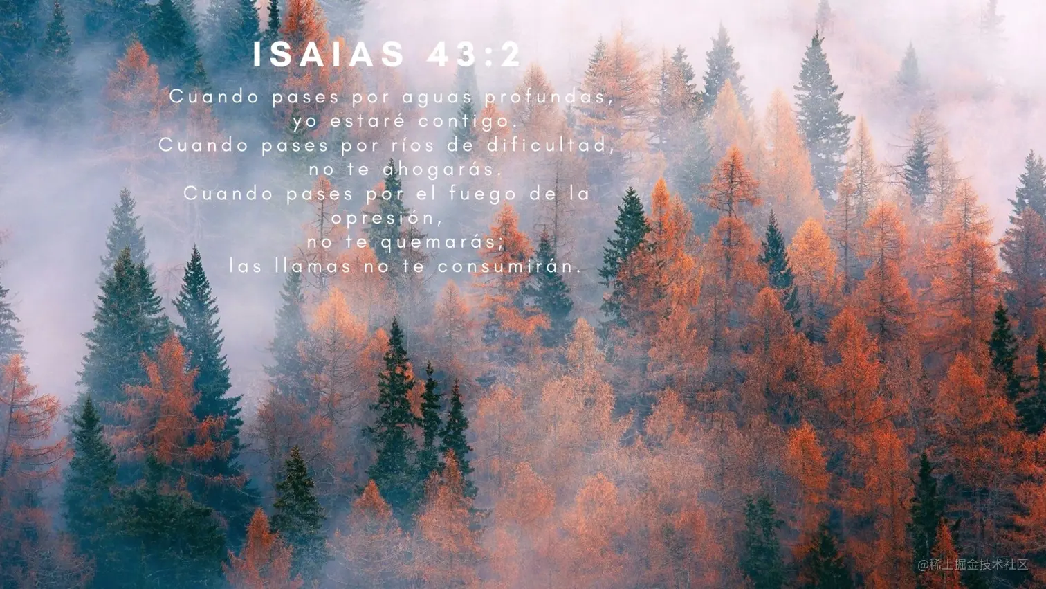 在 Mac 上使用 BlueStacks模拟安卓