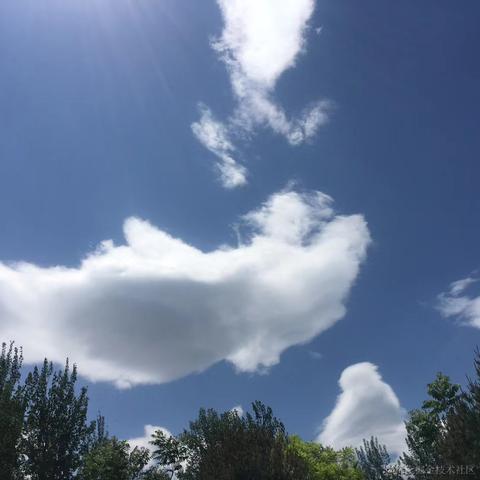 purple紫于2020-12-29 10:04发布的图片