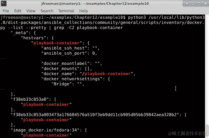 图 12.19 - 手动运行 Docker 动态清单插件以探索其行为