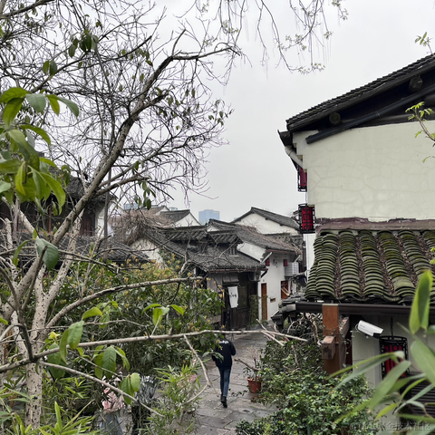 浅若晴空于2023-03-16 15:05发布的图片