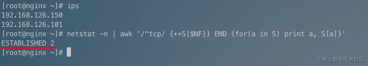 image-20220217104011447