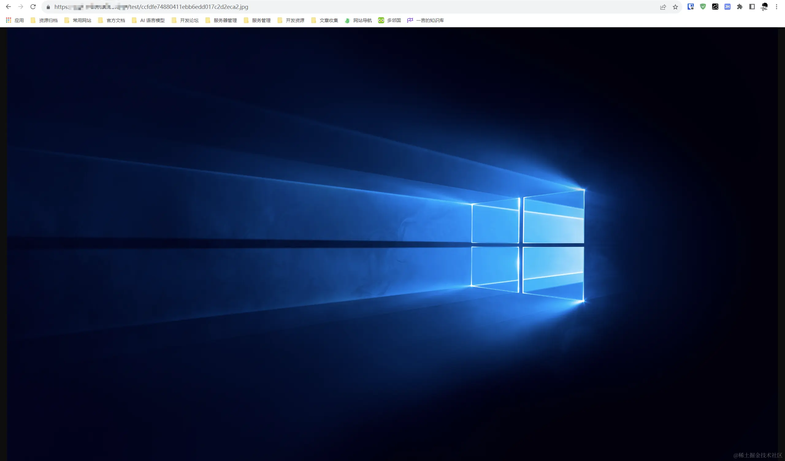 image-20231127112852845