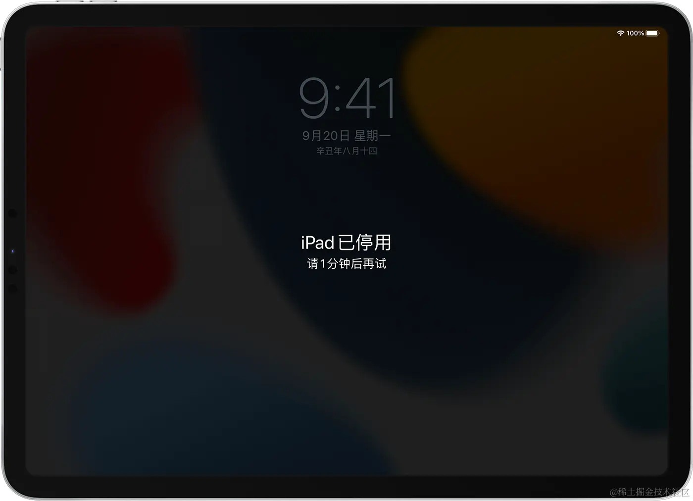 iPad 显示了“iPad 已停用”屏幕。