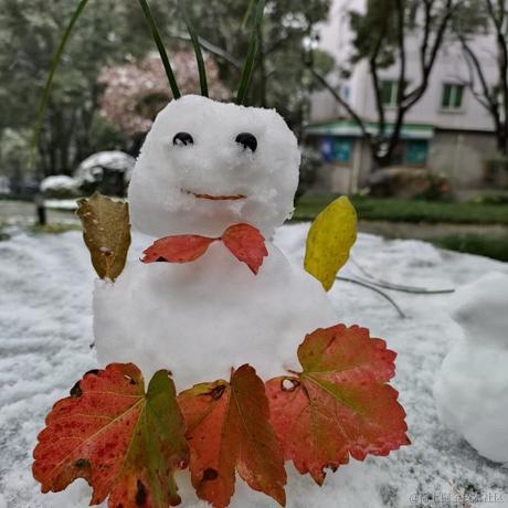 好无语886于2022-12-02 19:12发布的图片