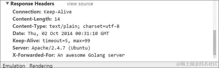 Go 和 NGINX 作为反向代理