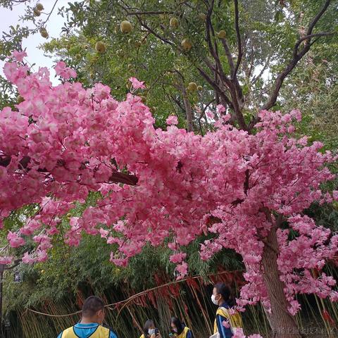 用户2469611626166于2022-11-29 22:49发布的图片