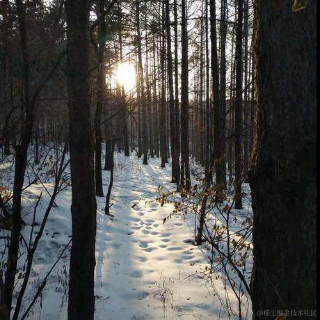 嘉然今晚喝牛奶于2022-11-17 18:57发布的图片