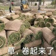 挖土勇士的个人资料头像