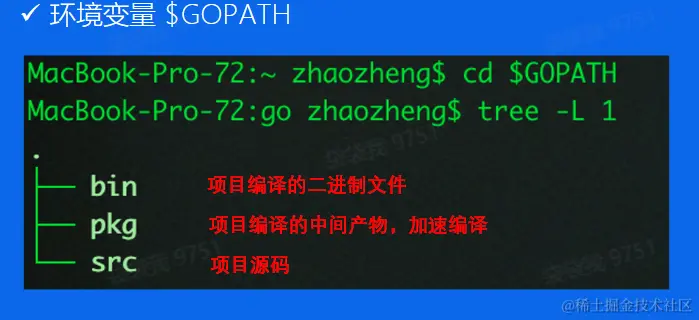 image-20230117104308978