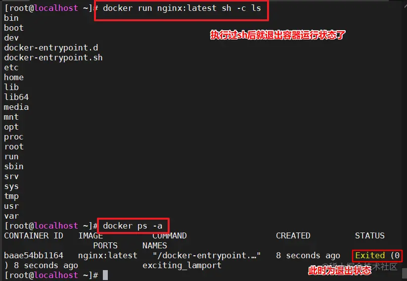 image-20220623225030460